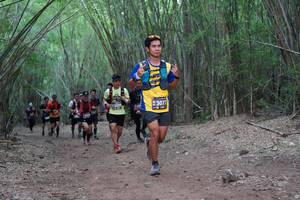 BIB: 3077
                            <button type="button" onclick="openModal(4117699)" class="btn btn-primary btn-sm float-right btn-popup" data-toggle="modal" data-target=".modal-high-quality">
                        <i class="fas fa-shopping-cart"></i> Add to Cart
                    </button>
                                            <button type="button" onclick="isThisMe(4117699, true)" class="btn btn-success btn-sm float-right btn-popup btn-isme hidden" data-toggle="tooltip" data-placement="bottom" title="นี่คือรูปของคุณใช่ไหม คลิกที่นี่เพื่อเอาเข้าอัลบั้ม">
                        <i class="fas fa-plus"></i> Add to album
                    </button>
                    <button type="button" onclick="isThisMe(4117699, false)" class="btn btn-warning btn-sm float-right btn-popup btn-isnotme hidden">
                        <i class="fas fa-ban"></i> Remove from album
                    </button>